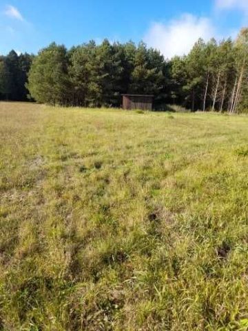 Działka budowlana Piszczac-Kolonia. Zdjęcie 1