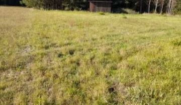 Działka budowlana Piszczac-Kolonia