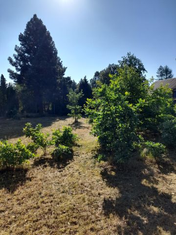 Działka budowlana Tabor. Zdjęcie 1