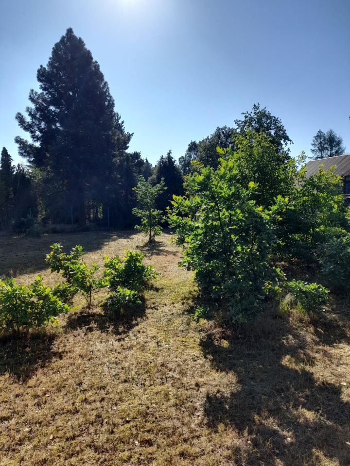 Działka budowlana Tabor