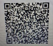 Działka inwestycyjna Pasek. Zdjęcie 1