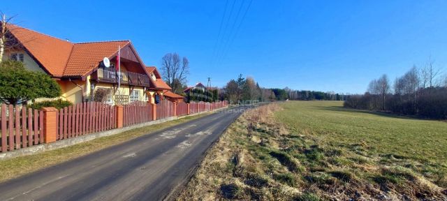 Działka rolna Marcinkowo. Zdjęcie 8