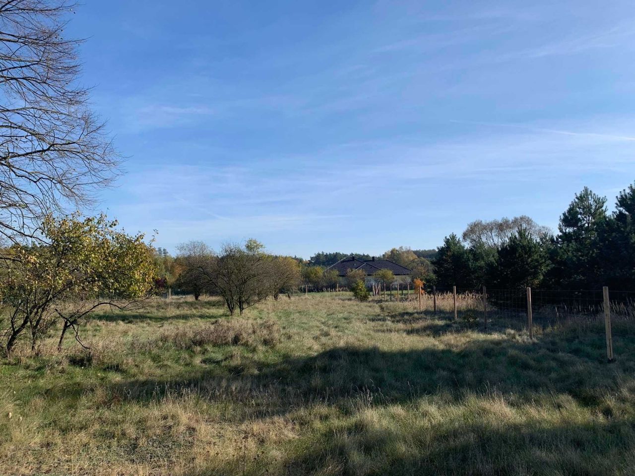 Działka budowlana Graby. Zdjęcie 6