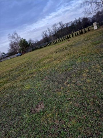 Działka rekreacyjna Kępa Niemojewska. Zdjęcie 1