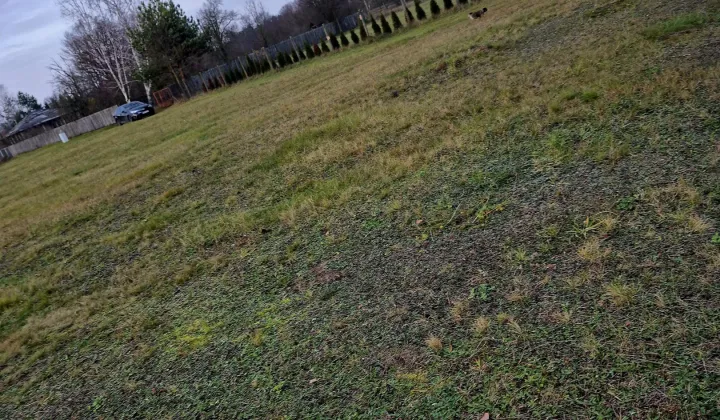 Działka rekreacyjna Kępa Niemojewska