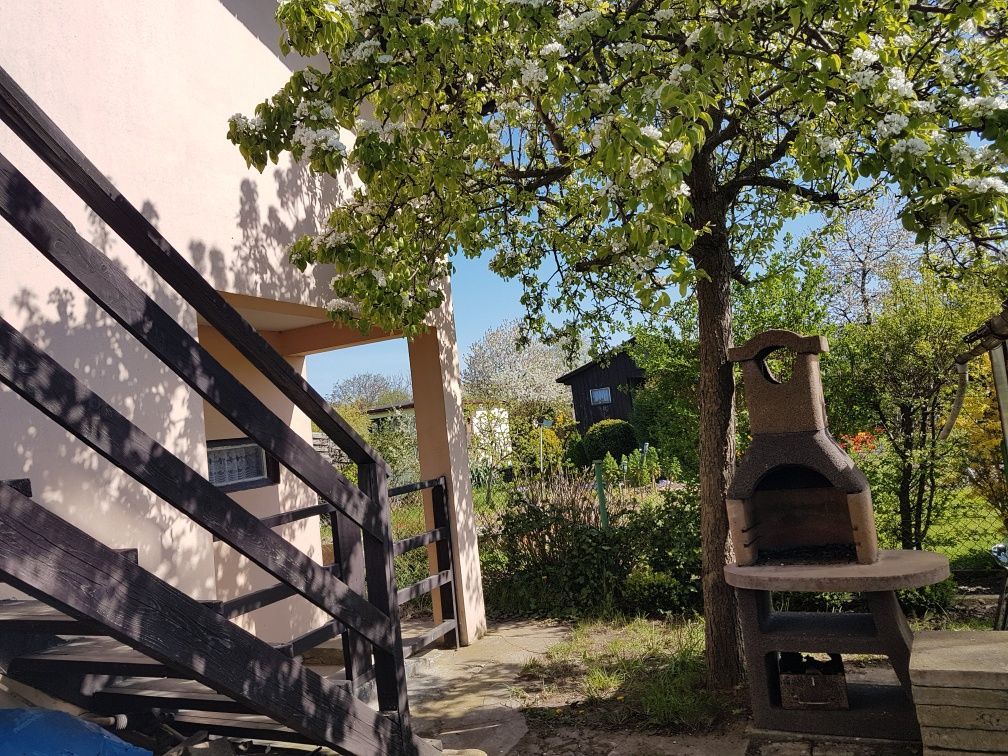 Działka rod Gdynia Babie Doły, ul. Zielona. Zdjęcie 6