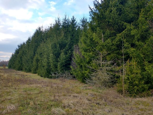 Działka rolna Ługi. Zdjęcie 1