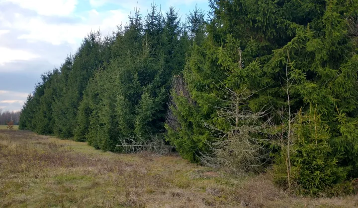 Działka rolna Ługi