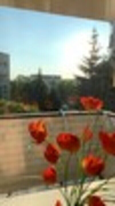 Mieszkanie 2-pokojowe Kraków Prądnik Czerwony, ul. Franciszka Kniaźnina. Zdjęcie 12
