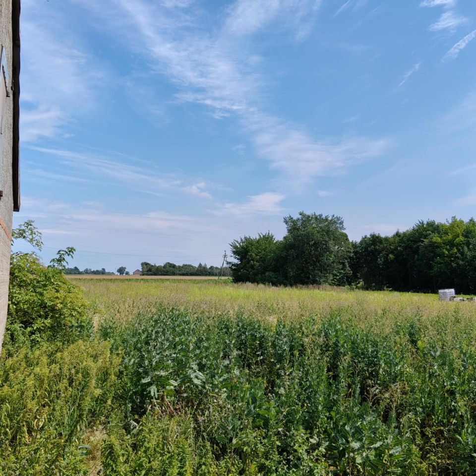 siedlisko, 2 pokoje Dąbrowice, ul. Wodna. Zdjęcie 4