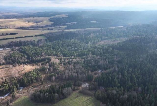 Działka rolna Czarna. Zdjęcie 11