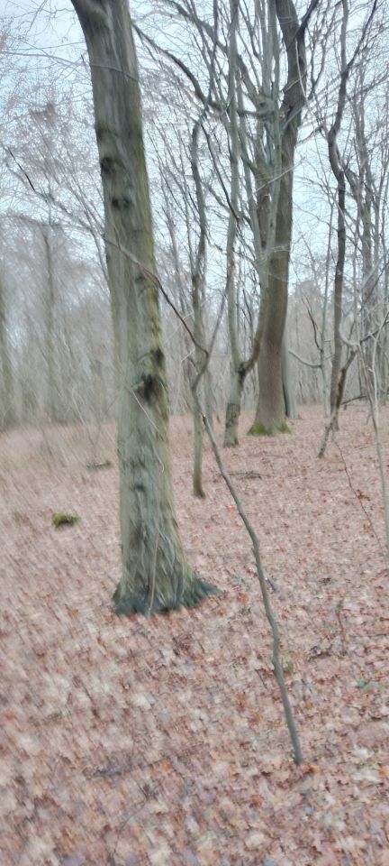 Działka leśna Osobnica Wysłanka, Osobnica. Zdjęcie 16