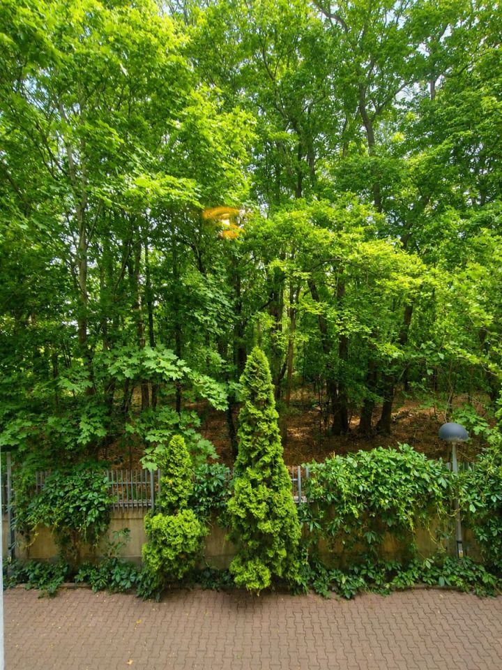 Mieszkanie 3-pokojowe Warszawa Ursynów, ul. Puławska. Zdjęcie 34