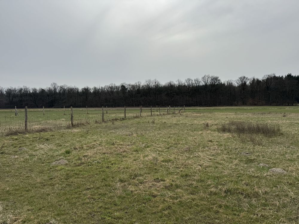 Działka budowlana Warszty. Zdjęcie 1