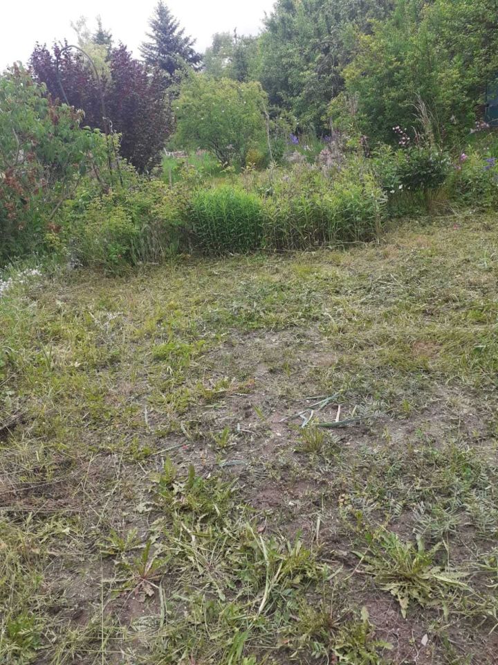 Działka rod Wrocław Sołtysowice. Zdjęcie 5