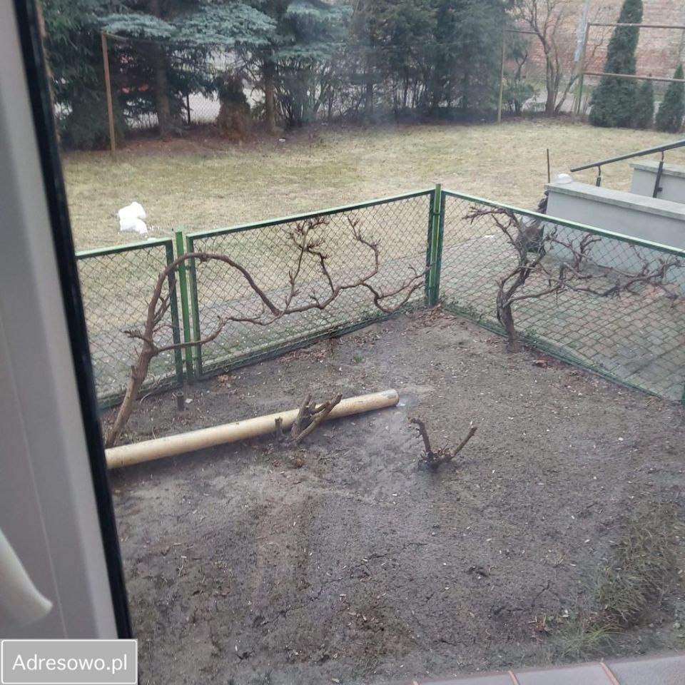 dom wolnostojący, 3 pokoje Skwierzyna, ul. Międzyrzecka. Zdjęcie 6