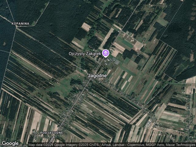 Działka rolna Jagodne. Zdjęcie 1