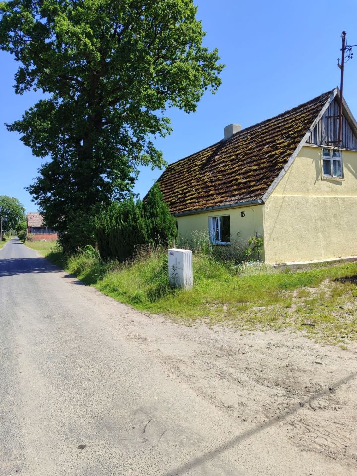 gospodarstwo Nowy Jarosław. Zdjęcie 8