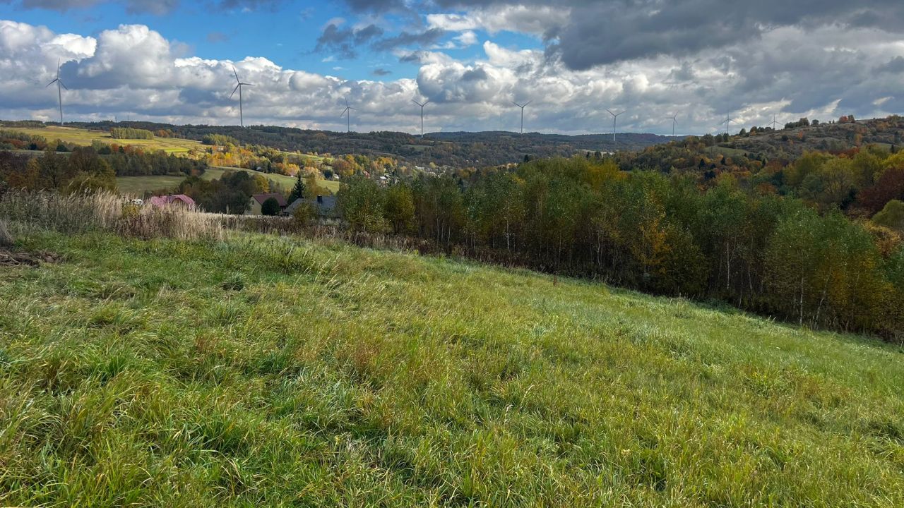 Działka rolna Wesoła. Zdjęcie 4