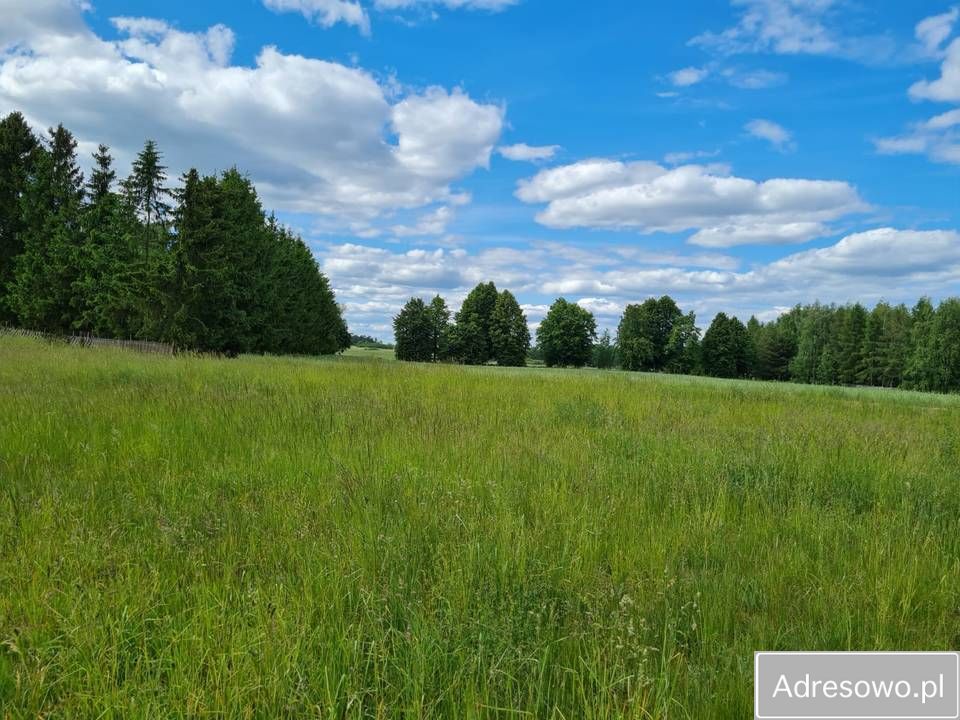 Działka siedliskowa Tałty. Zdjęcie 2