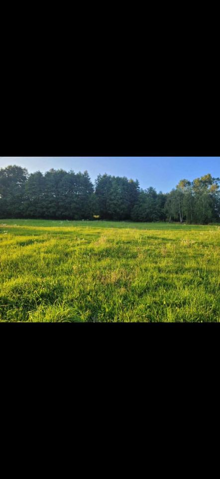 Działka rolno-budowlana Tymowa. Zdjęcie 2