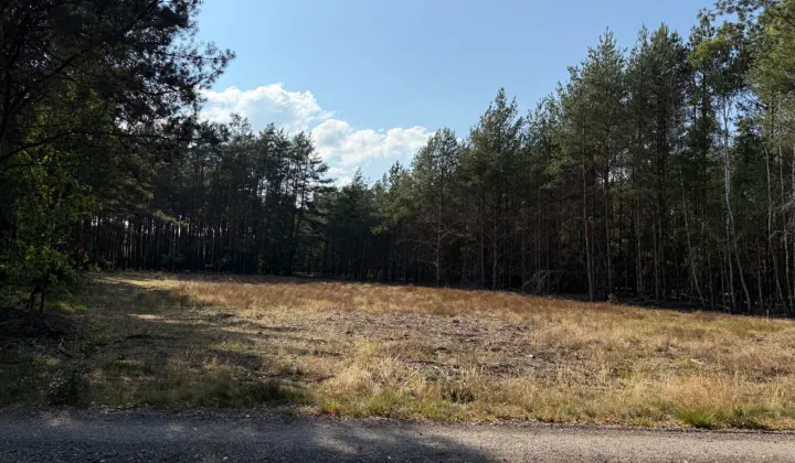 Działka budowlana Ruda-Czernik