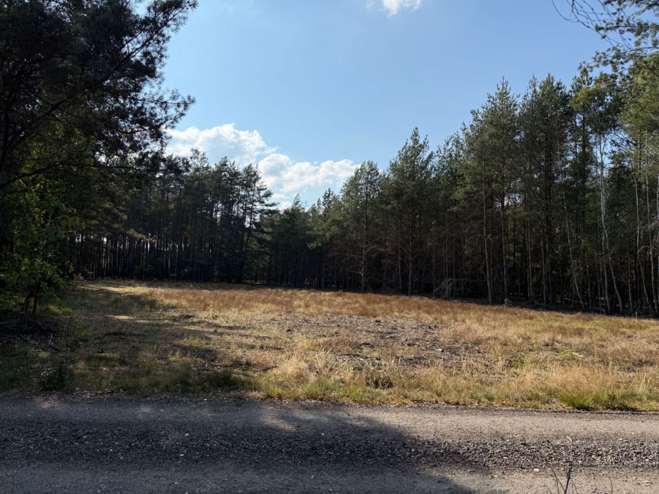 Działka budowlana Ruda-Czernik. Zdjęcie 1