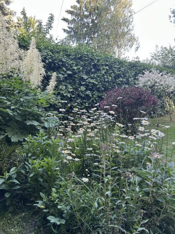 dom wolnostojący, 5 pokoi Ksawerów, ul. Ireny Kosmowskiej. Zdjęcie 25