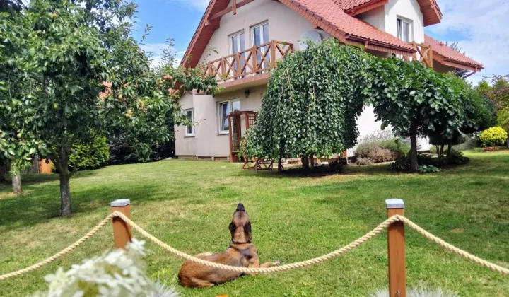 dom wolnostojący Korfantów