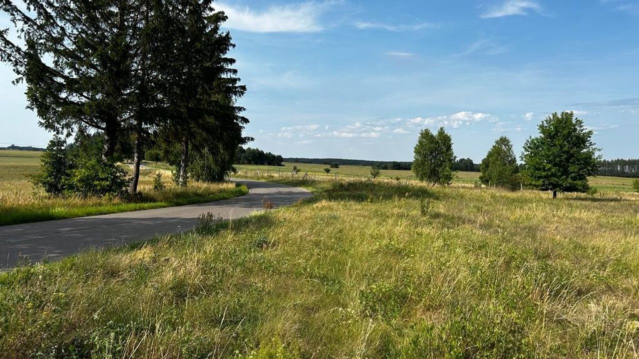 Działka rolno-budowlana Mosina. Zdjęcie 3