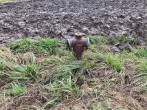 Działka rolno-budowlana Łaszów. Zdjęcie 4