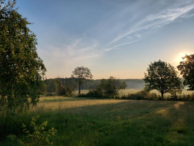 Działka rolno-budowlana Krąg. Zdjęcie 1