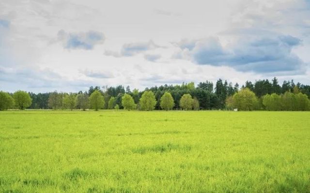 Działka budowlana Zabłudów, ul. św. Rocha. Zdjęcie 2