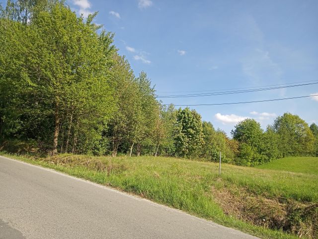 Działka budowlana Dobczyce Marwin, ul. Garncarska. Zdjęcie 1