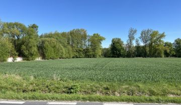 Działka inwestycyjna Trzcianna