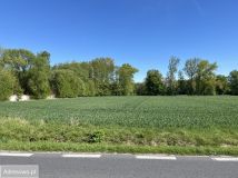 Działka inwestycyjna Trzcianna. Zdjęcie 1