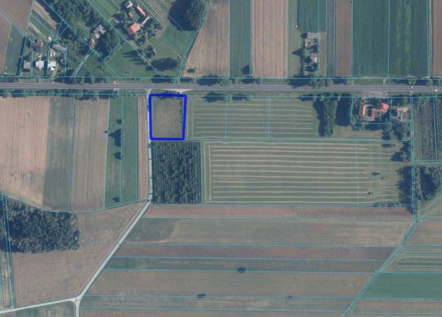 Działka siedliskowa Korzeniów. Zdjęcie 2