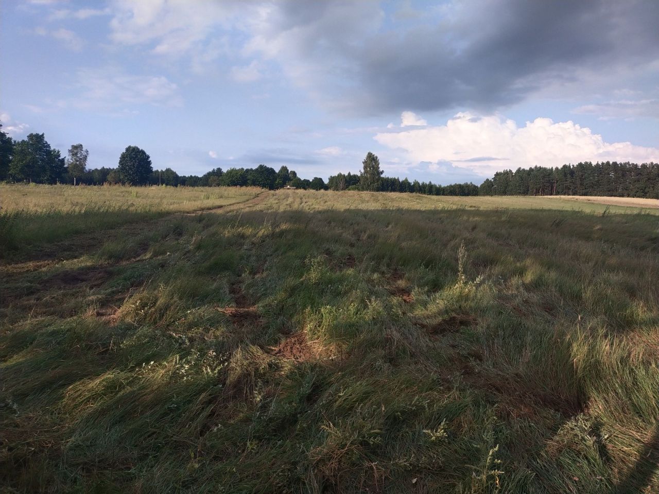Działka rolno-budowlana Huta. Zdjęcie 7