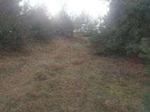 Działka rolna Kępina. Zdjęcie 2