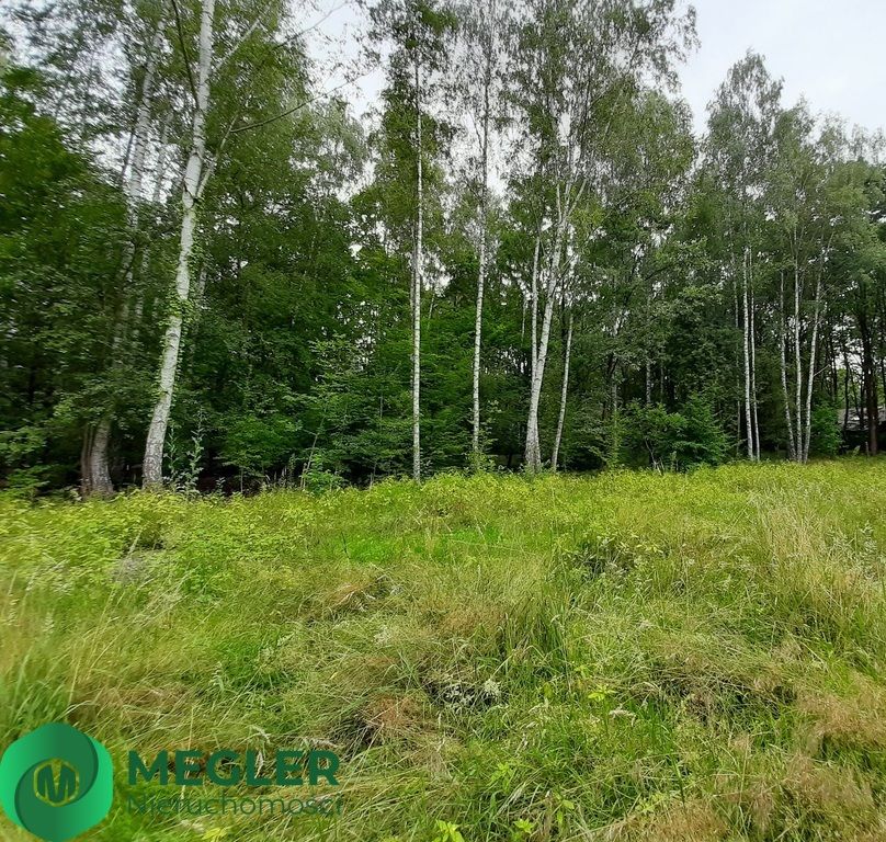 Działka budowlana Podkowa Leśna. Zdjęcie 8