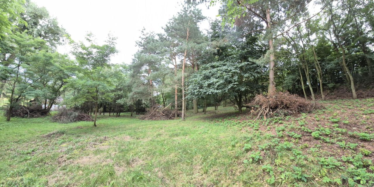 Działka rolno-budowlana Zgoda. Zdjęcie 9