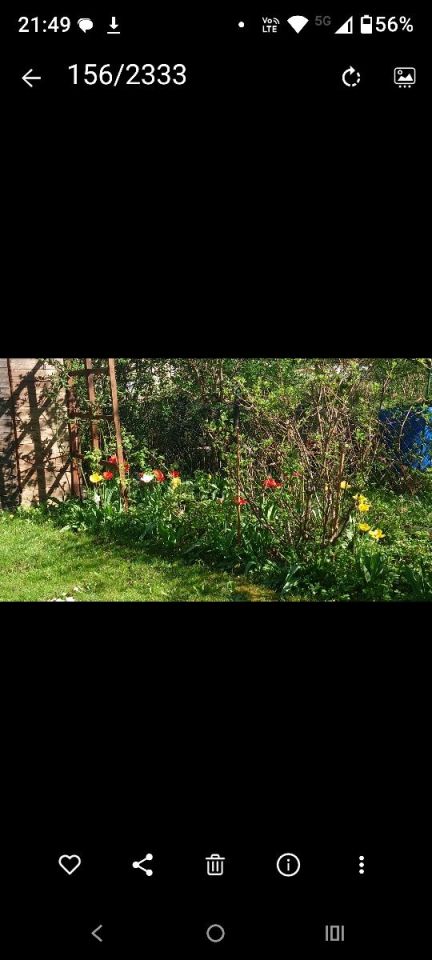 Działka rod Łódź, ul. Pustynna. Zdjęcie 3