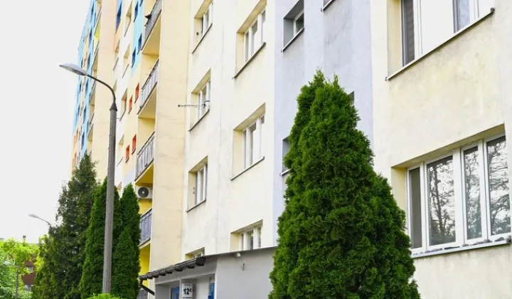 Mieszkanie 2-pokojowe Zabrze, ul. Marii Curie-Skłodowskiej