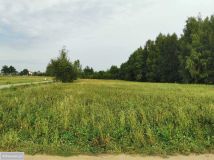 Działka rolna Kaszewska Wola. Zdjęcie 1