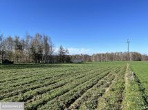 Działka budowlana Łazy. Zdjęcie 3