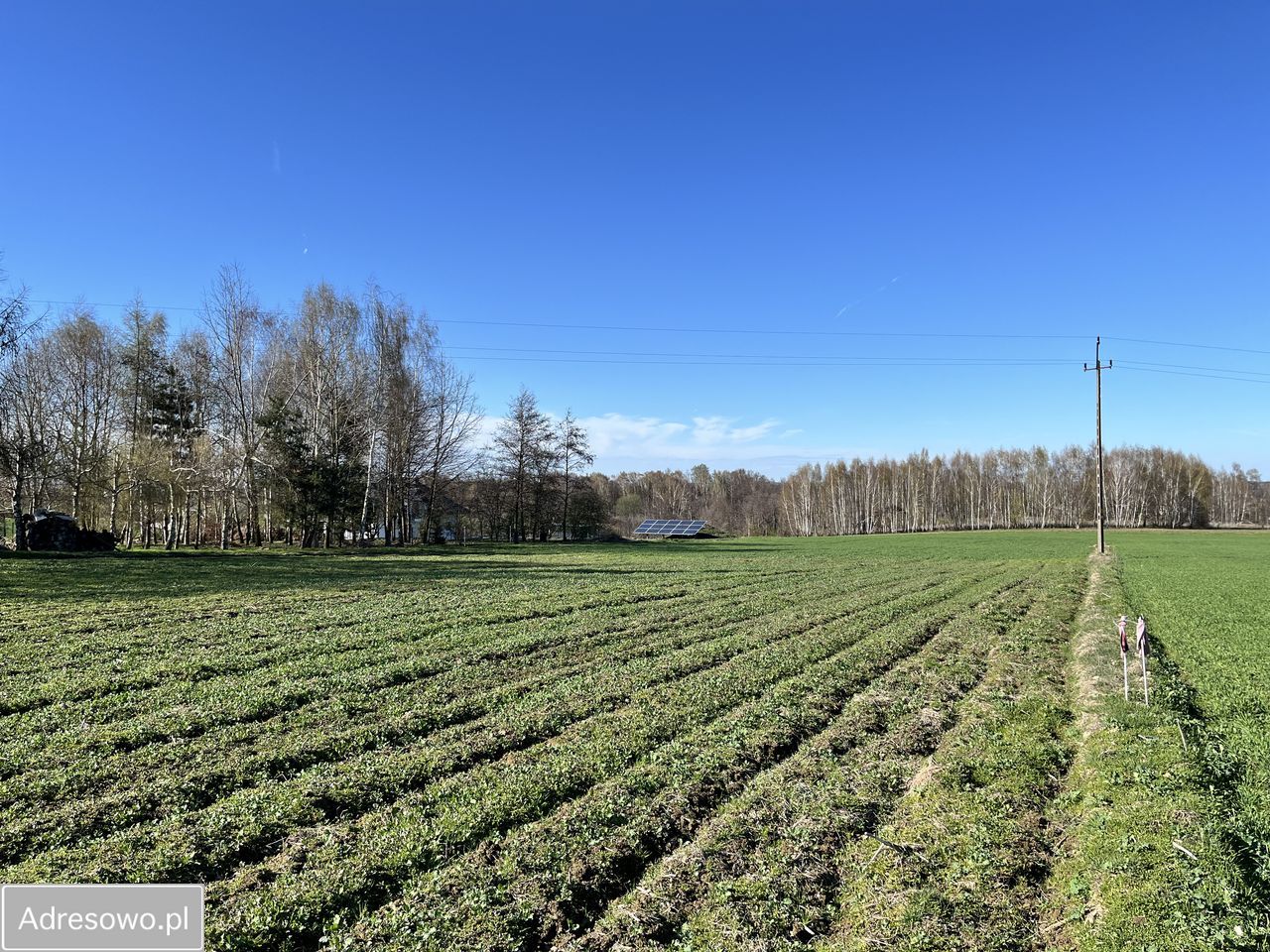 Działka budowlana Łazy. Zdjęcie 4