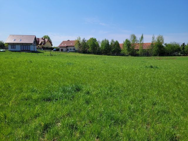 Działka budowlana Woryty. Zdjęcie 6