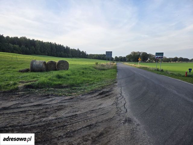 Działka rolno-budowlana Niedalino. Zdjęcie 1