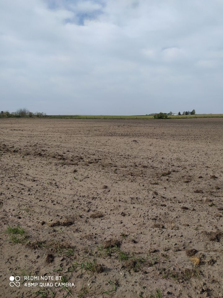 Działka rolno-budowlana Rataje. Zdjęcie 5