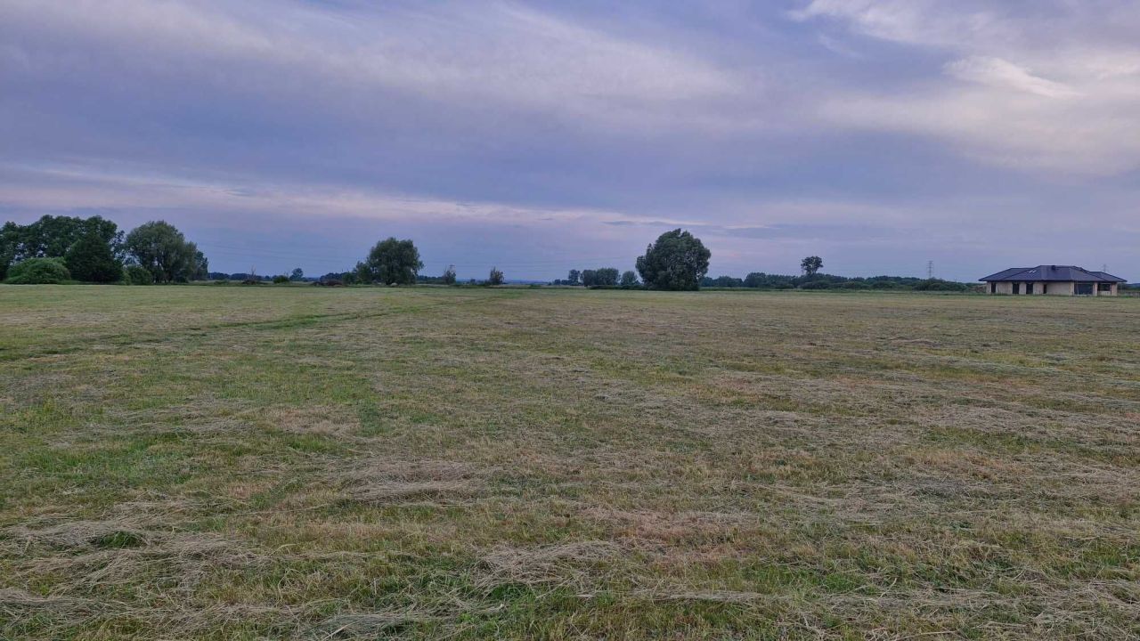 Działka budowlana Witnica, ul. Osiedle Zachodnie. Zdjęcie 3